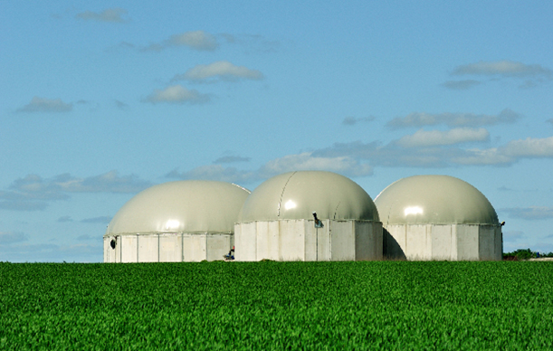 Anaerobic Digestion