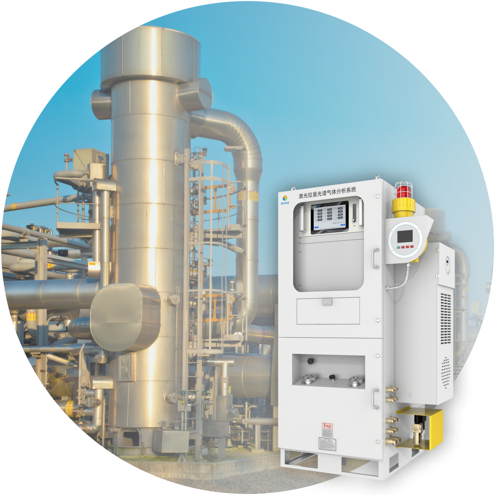 Gas Composition Analysis System
