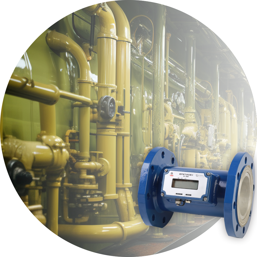 Biogas Flow Meter